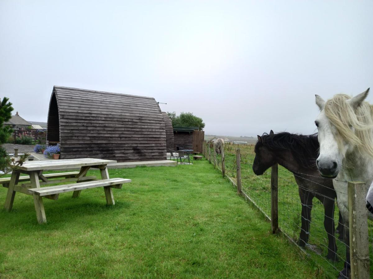 Hillside Camping Pods And Shepherd'S Hut Wick  Luaran gambar
