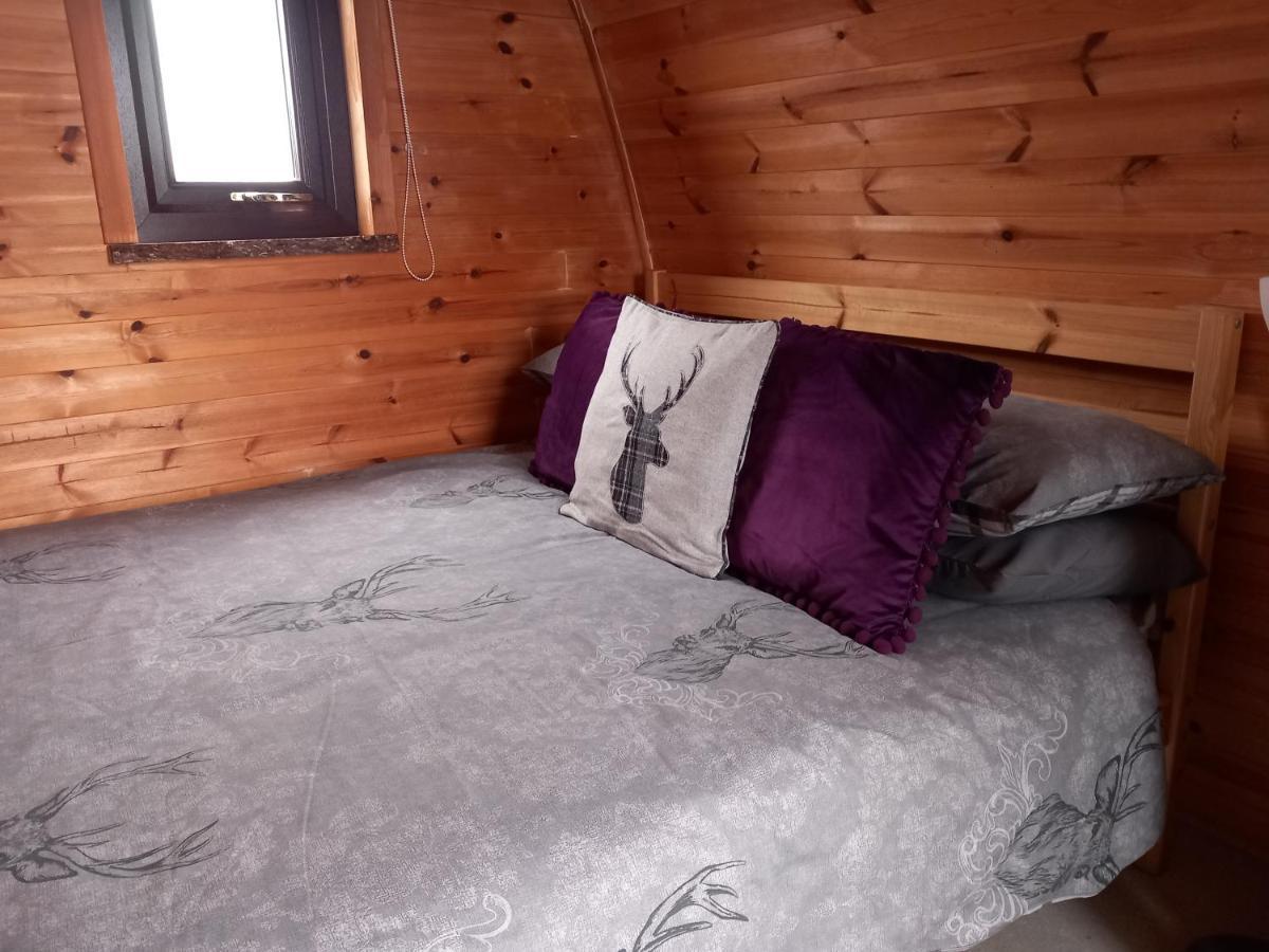 Hillside Camping Pods And Shepherd'S Hut Wick  Bilik gambar
